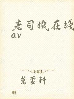 老司机在线天堂av