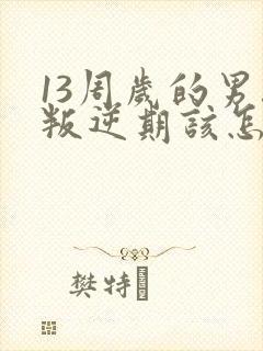 13周岁的男孩叛逆期该怎么办