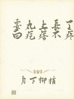 睾丸上长了个小白疙瘩不疼不痒