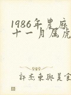 1986年农历十一月属虎男命运