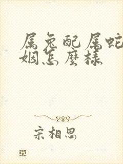 属兔配属蛇的婚姻怎么样封面