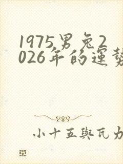 1975男兔2026年的运势及运程