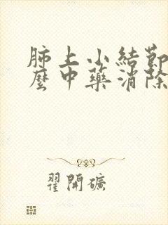 肺上小结节吃什么中药消除最好封面