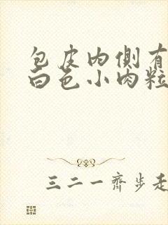 包皮内侧有一排白色小肉粒