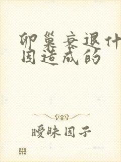 卵巢衰退什么原因造成的