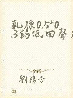 乳腺0.5*0.3的低回声结节