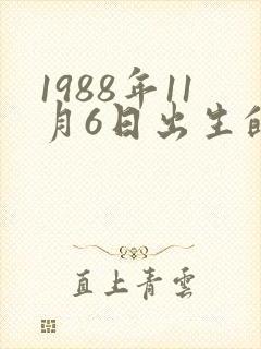 1988年11月6日出生的男一生命运