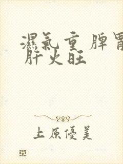 湿气重 脾胃虚 肝火旺