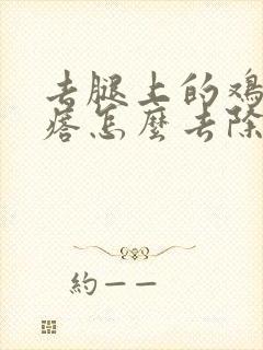 去腿上的鸡皮疙瘩怎么去除封面