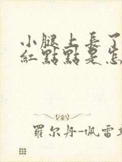 小腿上长了很多红点点是怎么回事