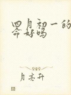 四月初一的女孩命好吗封面