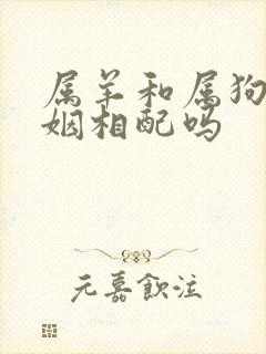 属羊和属狗的婚姻相配吗封面