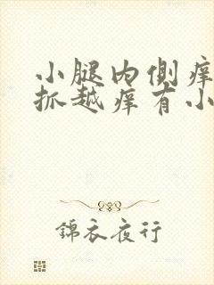 小腿内侧痒痒越抓越痒有小红疙瘩