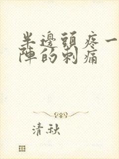 半边头疼一阵一阵的刺痛封面