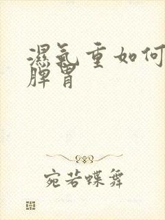 湿气重如何调理脾胃