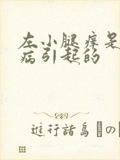 左小腿痒是什么病引起的