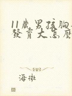 11岁男孩胸部发育大怎么回事