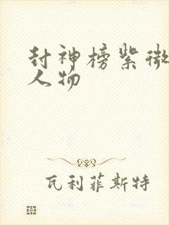 封神榜紫微斗数人物