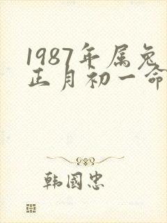 1987年属兔正月初一命好不好封面