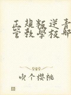 正规叛逆青少年管教学校哪家好