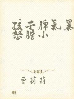 孩子脾气暴躁易怒胆小