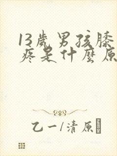 13岁男孩膝盖疼是什么原因封面