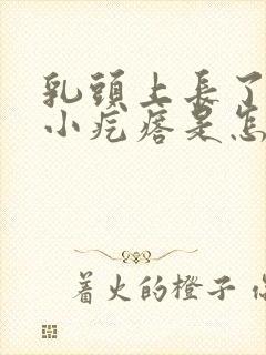 乳头上长了一个小疙瘩是怎么回事