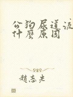 公狗尿道流血是什么原因