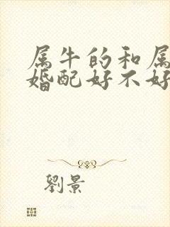 属牛的和属龙的婚配好不好封面