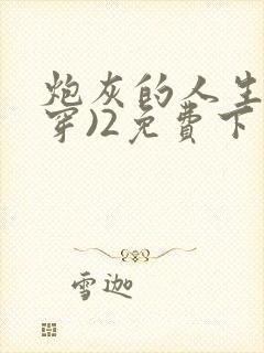 炮灰的人生(快穿)2免费下载