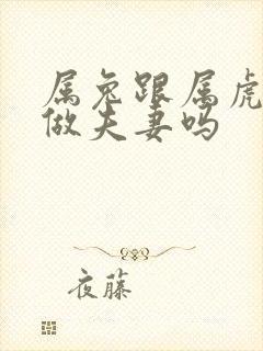 属兔跟属虎适合做夫妻吗