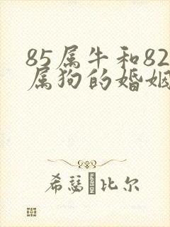 85属牛和82属狗的婚姻怎么样