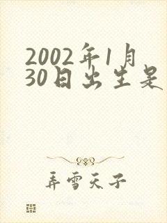 2002年1月30日出生是什么命封面