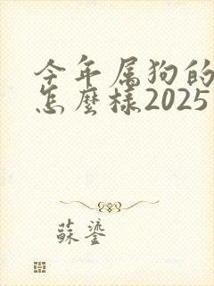 今年属狗的运势怎么样2025