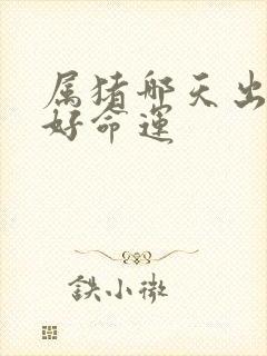 属猪哪天出生最好命运