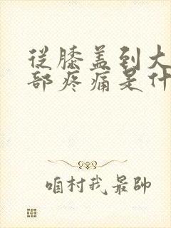 从膝盖到大腿根部疼痛是什么原因