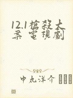 12.1枪杀大案 电视剧