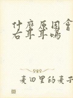 什么原因会导致右耳耳鸣