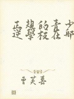 正规的青少年叛逆学校在哪里