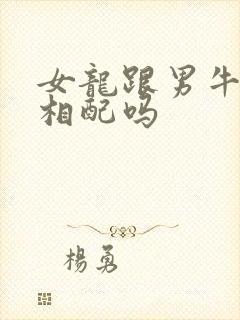 女龙跟男牛婚姻相配吗