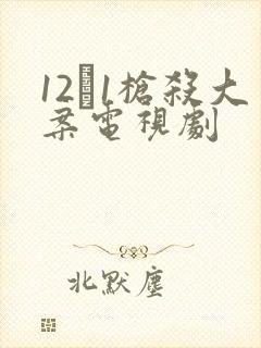 12·1枪杀大案电视剧