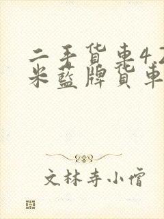 二手货车4.2米蓝牌货车