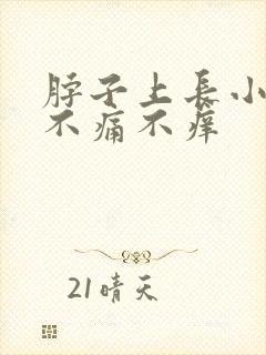 脖子上长小肉粒不痛不痒