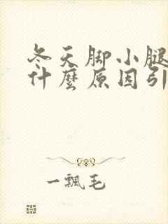 冬天脚小腿痒是什么原因引起的