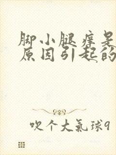 脚小腿痒是什么原因引起的