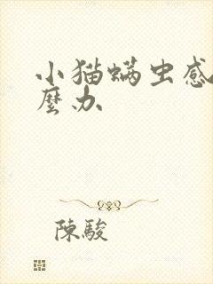 小猫螨虫感染怎么办