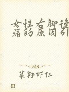 女性右脚后跟疼痛的原因引起的封面