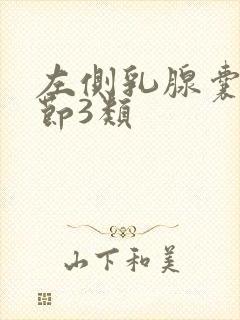 左侧乳腺囊性结节3类