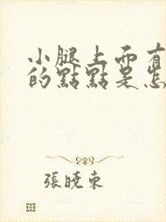 小腿上面有红色的点点是怎么回事