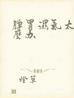 脾胃湿气太重怎么办